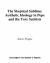 Skeptical Sublime: Aesthetic Ideology in Pope and the Tory Satirists