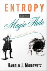 Entropy and the Magic Flute