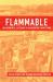 Flammable : Environmental Suffering in an Argentine Shantytown