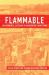 Flammable : Environmental Suffering in an Argentine Shantytown