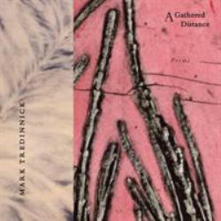 A Gathered Distance : Poems