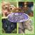 Treasury of Animals and Nature : Vol. II