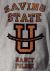 Saving State U : Fixing Public Higher Education