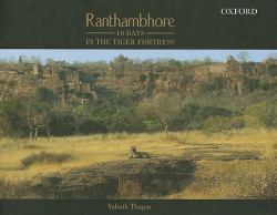 Ranthambhore : 10 Days in the Tiger Fortress