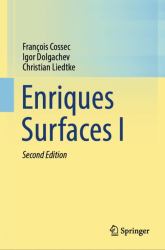 Enriques Surfaces I