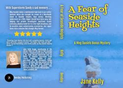 A Fear of Seaside Heights