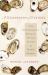 A Geography of Oysters : The Connoisseur's Guide to Oyster Eating in North America