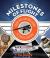 Milestones of Flight : From Hot-Air Balloons to SpaceShipOne