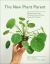 The New Plant Parent : Develop Your Green Thumb and Care for Your House-Plant Family