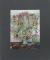 Flowers for Lisa (Limited Edition) : A Delirium of Photographic Invention