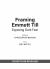Framing Emmett Till : Exposing Dark Fear