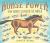 Horse Power : How Horses Changed the World Horse Power : How Horses Changed the World