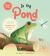 In the Pond : A Magic Flaps Book