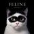 Feline : Photographs