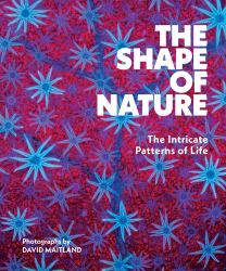 The Shape of Nature : The Intricate Patterns of Life