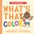 The Questioneers: What's That Color? : A Board Book