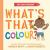 The Questioneers: What's That Colour? (UK/AUS Edition) : A Board Book The Questioneers: What's That Colour? (UK/AUS Edition) : A Board Book