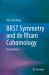 BRST Symmetry and de Rham Cohomology