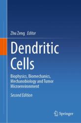 Dendritic Cells : Biophysics, Biomechanics, Mechanobiology and Tumor Microenvironment
