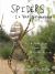 Spiders in Your Neighborhood : A Field Guide to Your Local Spider Friends