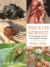 Spiders in Your Neighborhood : A Field Guide to Your Local Spider Friends, Revised and Expanded