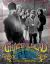 The Grateful Dead by Jim Marshall : Photos and Stories from the Formative Years, 1966-1977