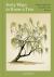 Forty Ways to Know a Tree : Exploring Trees to Understand Nature