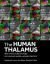 The Human Thalamus with a Mesoscale DTI Atlas : For Clinicians Imagers and Basic Scientists