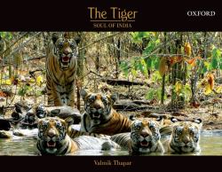 The Tiger : Soul of India