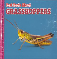 Fast Facts about Grasshoppers