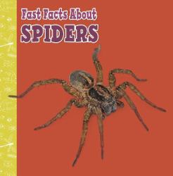 Fast Facts about Spiders