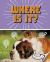 Where Is It? : A Turn-And-See Book