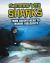 Swimming with Sharks : From Adventurers to Marine Biologists