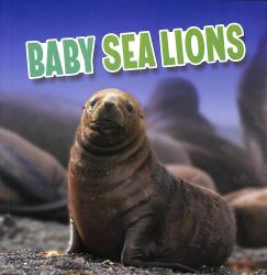 Baby Sea Lions