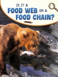 Is It a Food Web or a Food Chain?