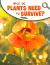What Do Plants Need to Survive?