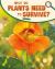 What Do Plants Need to Survive?