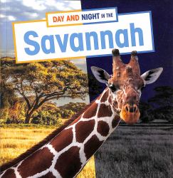 Day and Night in the Savannah