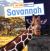 Day and Night in the Savannah