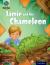Project X Origins: Turquoise Book Band, Oxford Level 7: Hide and Seek: Jamie and the Chameleon : Turquoise Book Band, Oxford Level 7 Hide and Seek: Jamie and the Chameleon