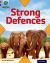 Project X Origins: Brown Book Band, Oxford Level 11 Strong Defences: Strong Defences