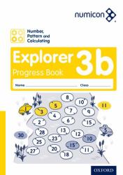 Number, Pattern and Calculating 3 Explorer Progress Book B