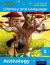 Read Write Inc. : Literacy and Language: Year 3 Anthology Pack Of 15