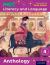 Read Write Inc. : Literacy and Language: Year 4 Anthology Pack Of 15