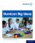 Numicon Big Ideas