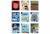 Oxford Reading Tree TreeTops Infact: Oxford Levels 18-20 Pack Of 54
