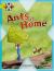 Ants at Home
