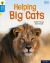 Oxford Reading Tree Word Sparks: Level 3: Helping Big Cats : Level 3 Helping Big Cats