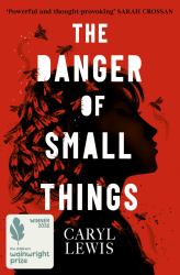 The Danger of Small Things : The YA Debut from an Award-Winning and Bestselling Welsh Storyteller