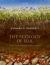 The Ecology of Soil : From Communities to Ecosystems
